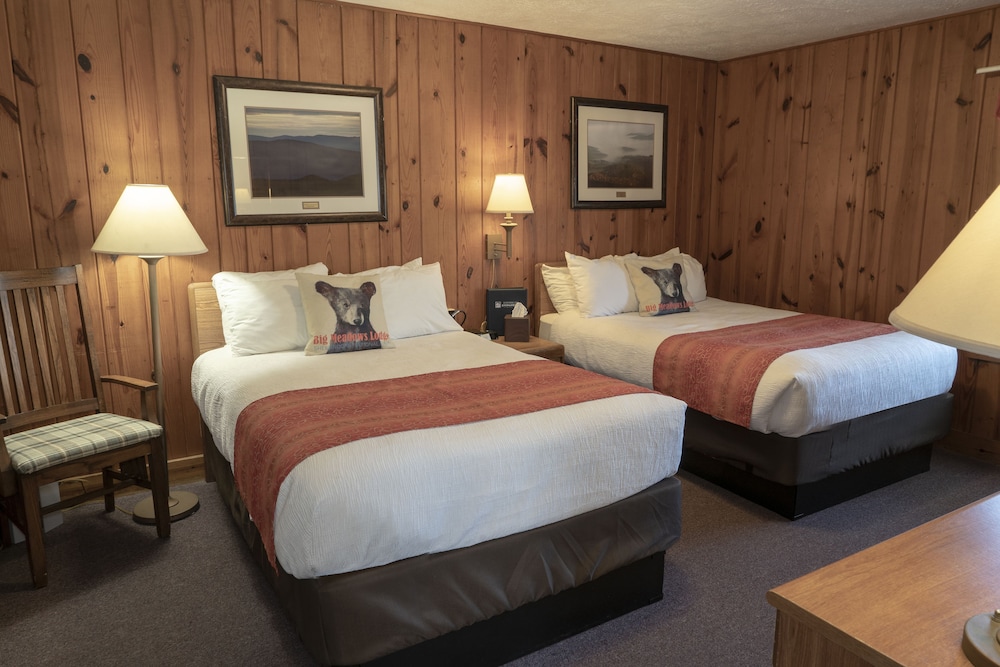 Big Meadows Lodge - photo 9