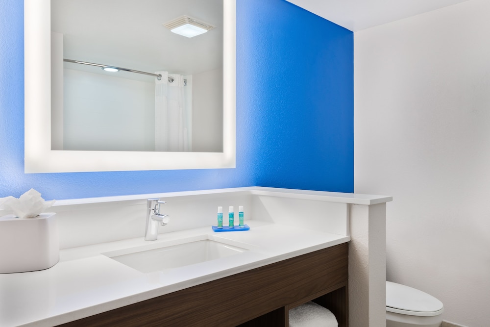 Holiday Inn Express & Suites Nearest Universal Orlando by IHG - photo 21