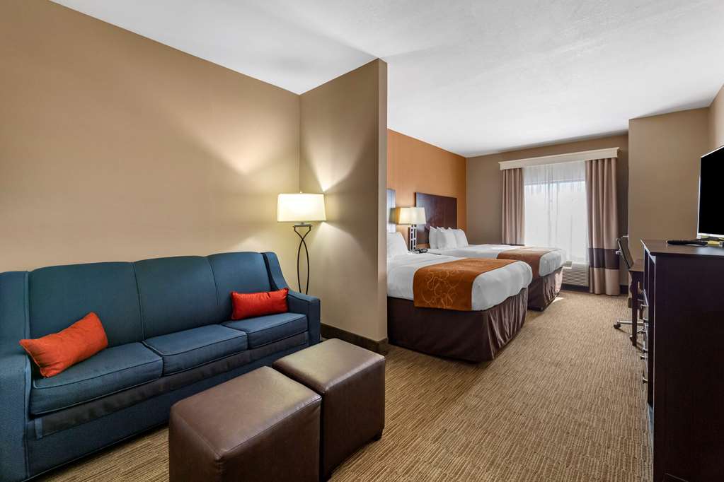 Comfort Suites Perrysburg Toledo South - photo 10