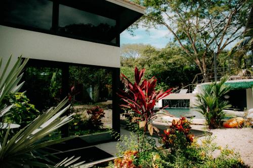 Puerta Negra in Unknown City, Costa Rica