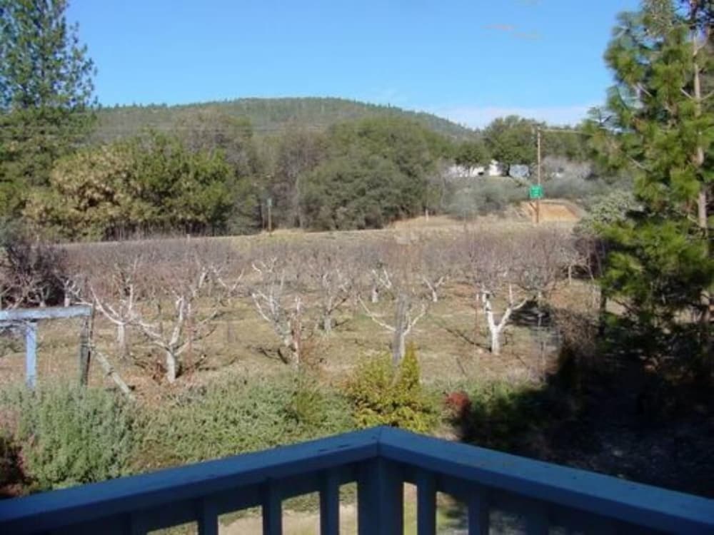 Apple Blossom Inn - photo 73