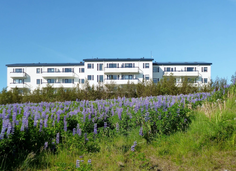 Apartment R23 — 4-Star Luxury Hotel in Reykjavik, Iceland