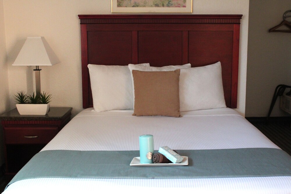 Pacific Inn and Suites - photo 17