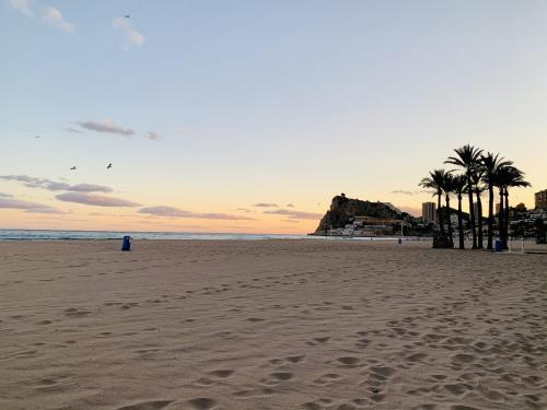 A428 Tamarindo 2004 Finestrat s.l. — 4-Star Luxury Hotel in Villajoyosa, Spain