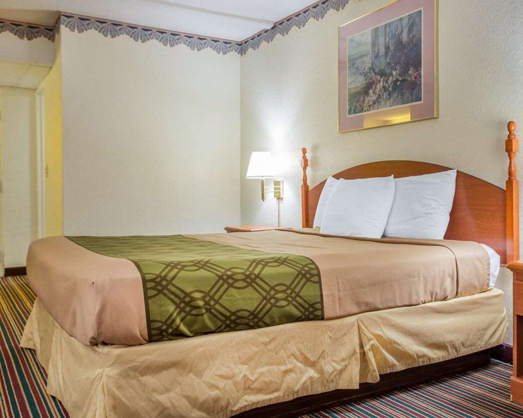 Rodeway Inn Stone Mountain - photo 17