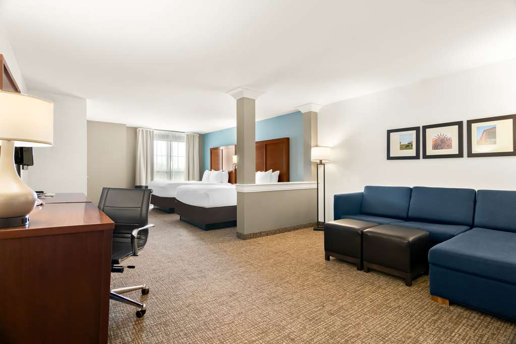 Comfort Suites Rensselaer near Fair Oaks - photo 31