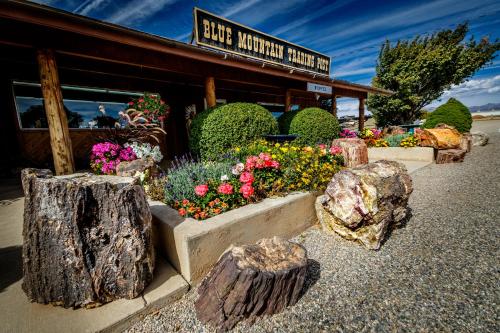 Blue Mountain RV Park - photo 3