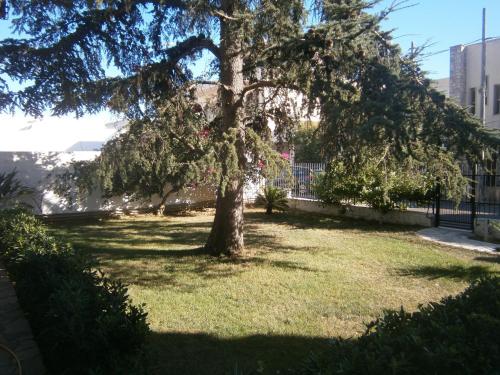 B&B Il Cedro — 4-Star Luxury Hotel in Salve, Italy