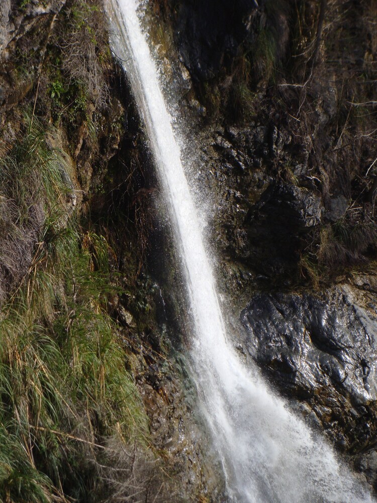 Ragged Point Inn and Resort - photo 40