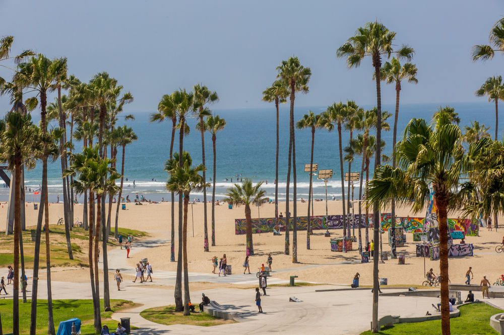 Venice Beach Suites & Hotel - photo 6