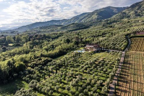 Ampio appartamento completamente rinnovato con vista e piscina — 4-Star Luxury Hotel in Lucca, Italy