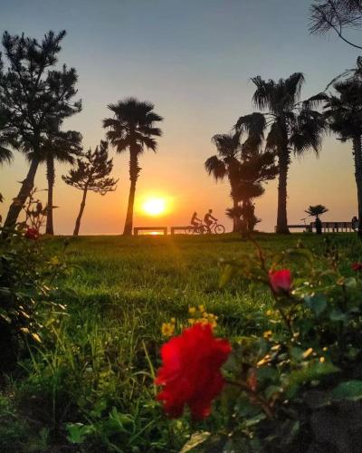 Sea Line Aparthotel & Batumi Beach Resort