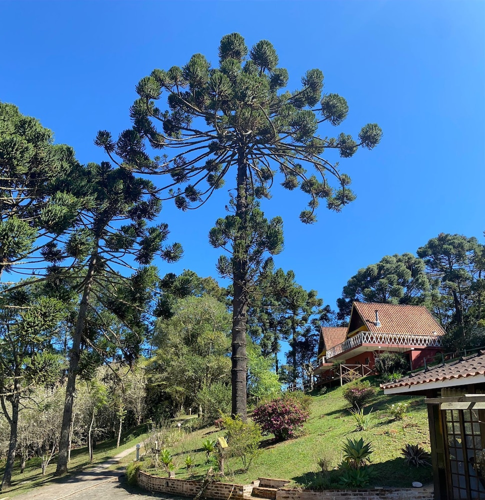Pousada Sotaque Mineiro in Cunha, Brasil