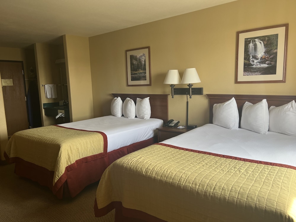 Baymont by Wyndham Pinedale - photo 19