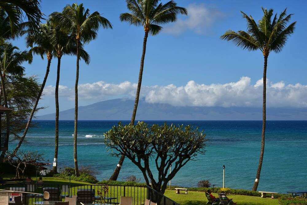 Polynesian Shores - photo 145