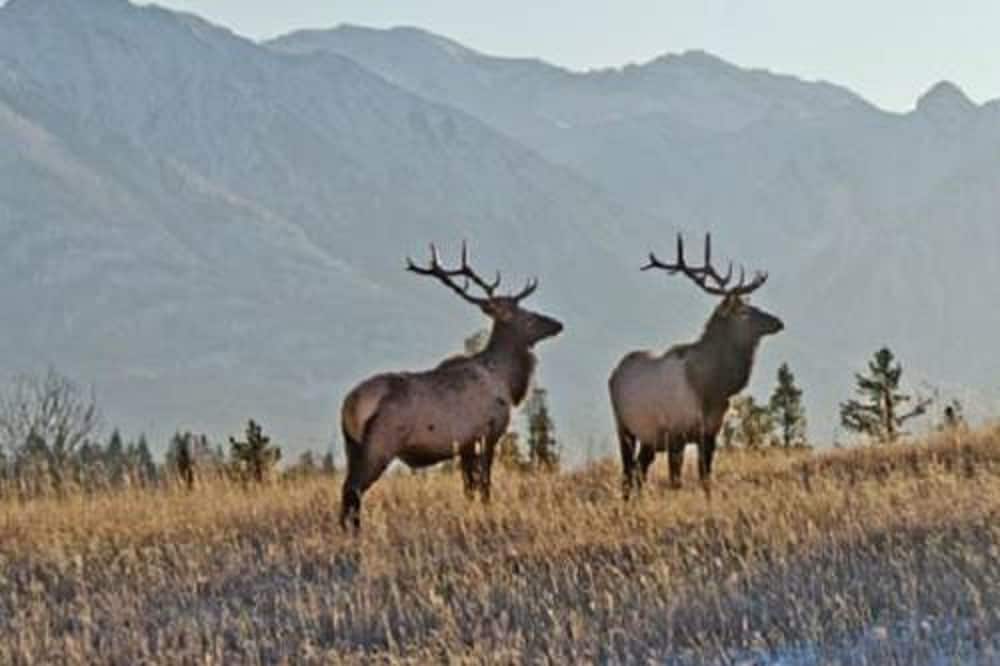 Flat Creek Inn - photo 43