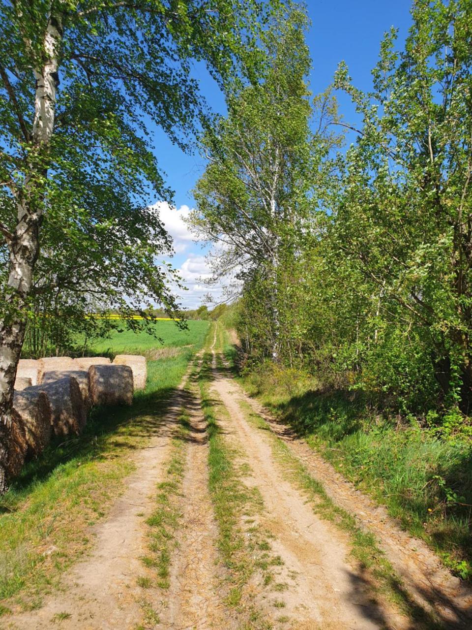 Anni’s Waldblick — Burgstaedt — photo 5