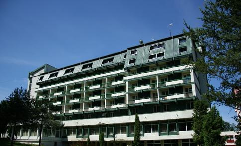 Hotel Bradul — hotel in Vatra Dornei