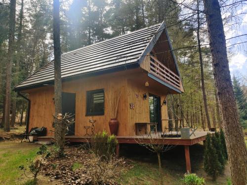 Chatki Bernadki Siedliska na Roztoczu pet-friendly hotel Siedliska