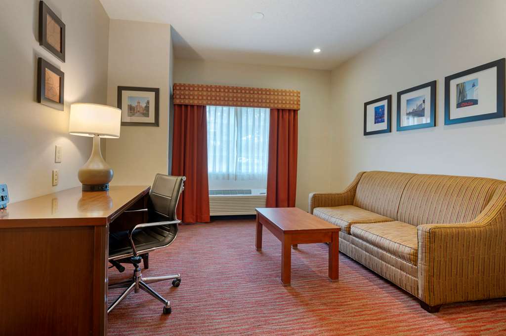 Comfort Suites Columbus Expo Center - photo 11