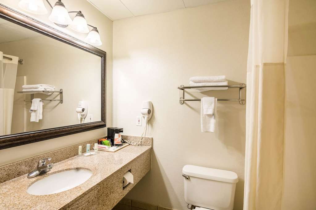 Quality Inn Alexander City - photo 28