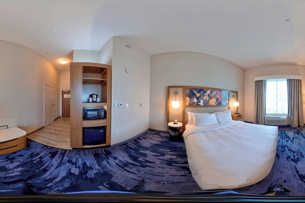 Fairfield Inn & Suites by Marriott St. Paul Eagan - photo 200