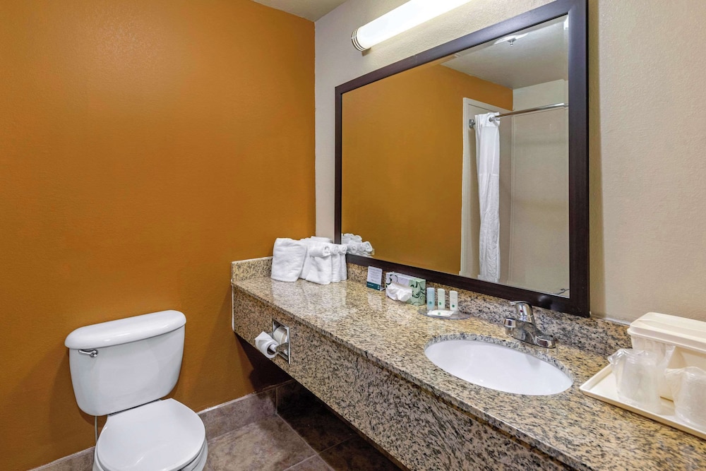 Quality Suites Addison Dallas - photo 13