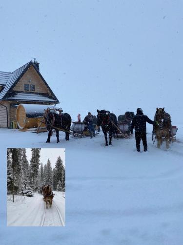 Domek pod lasem — hotel in Klikuszowa
