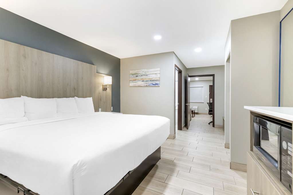 Best Western Plus Edinburg Inn & Suites - photo 33