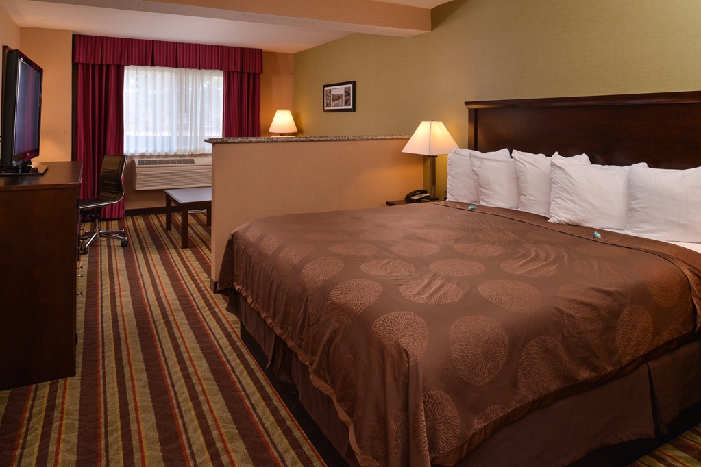 Best Western Wilsonville Inn & Suites - photo 4