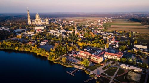 Hotel Stara Gorzelnia pet-friendly hotel Kleczew