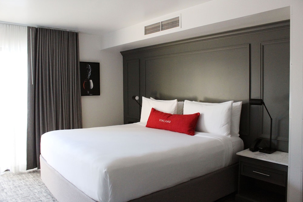 Vinland Hotel and Lounge - photo 24