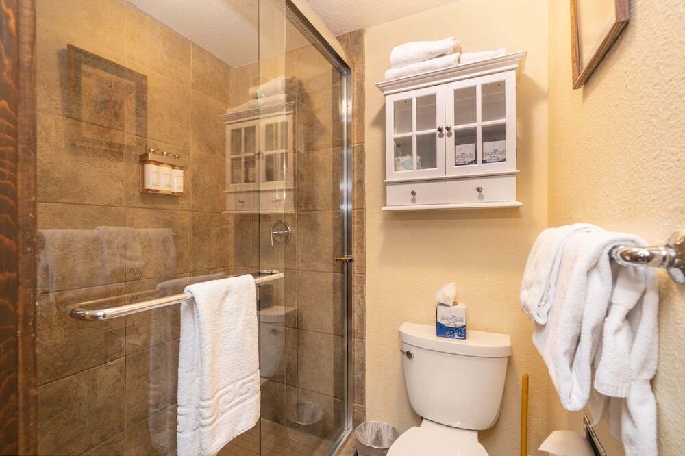 Manitou Lodge 10 Hotel Room by Alpine Lodging Telluride - photo 7