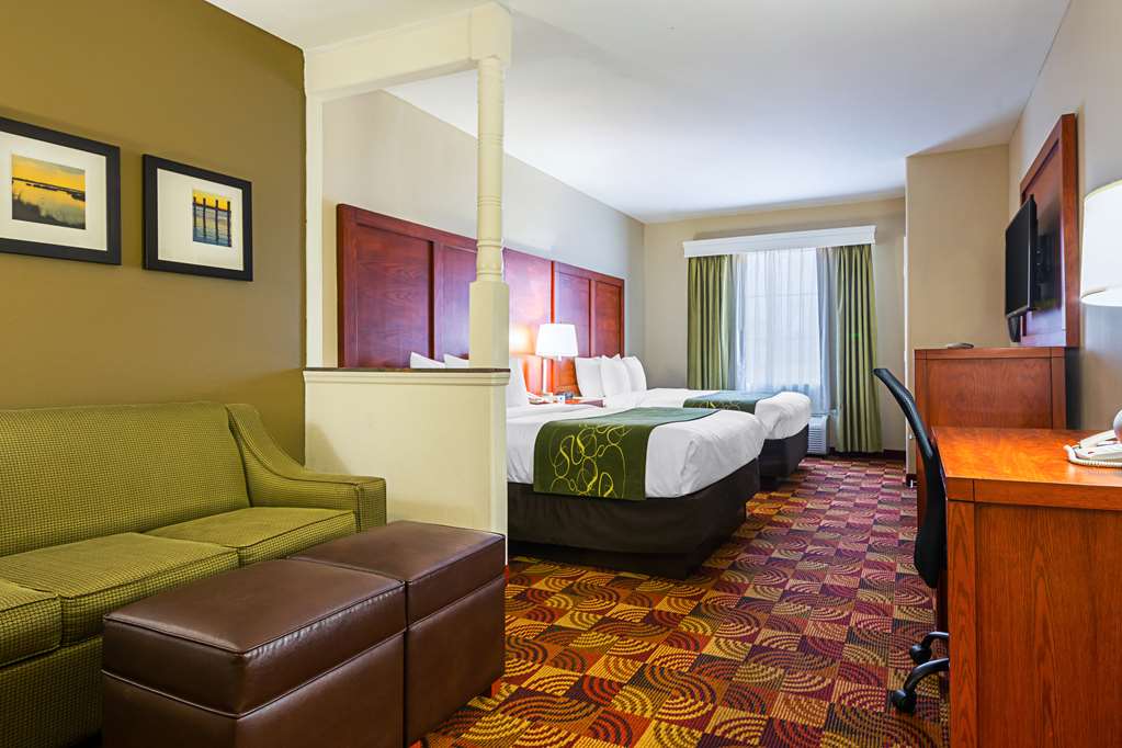 Comfort Suites Lake Charles - photo 18