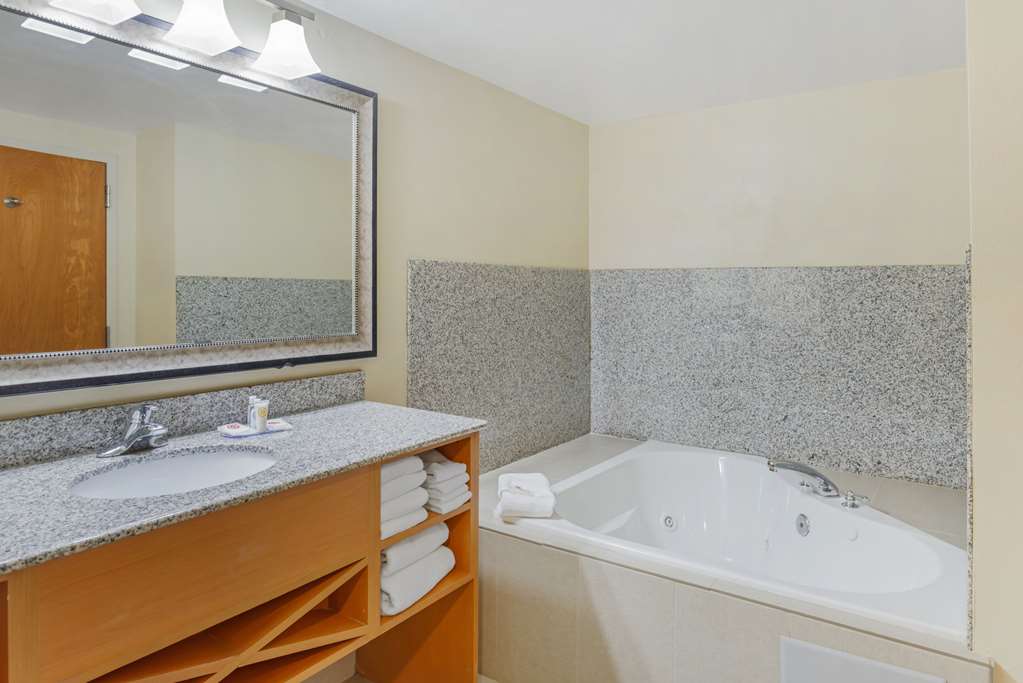 Comfort Suites At Virginia Center Commons - photo 10