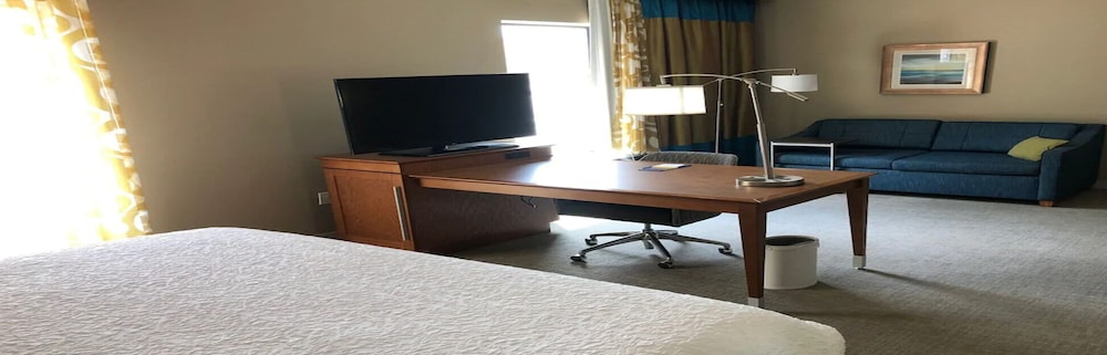 Hampton Inn & Suites Tampa Busch Gardens Area - photo 23