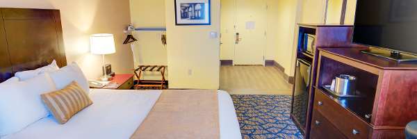 The Barrymore Hotel Tampa Riverwalk - photo 13