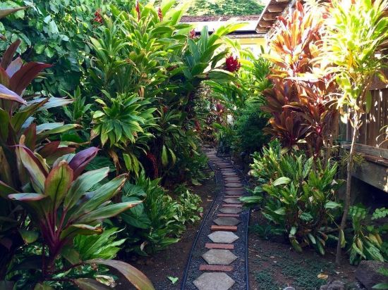 The ilikahi - photo 7