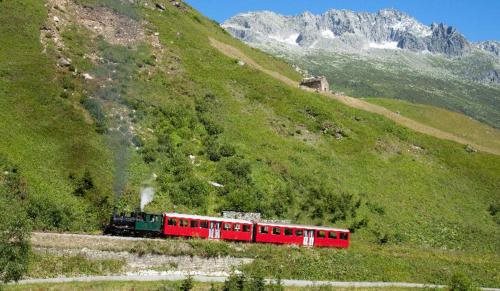Hotel Des Alpes — Engelberg