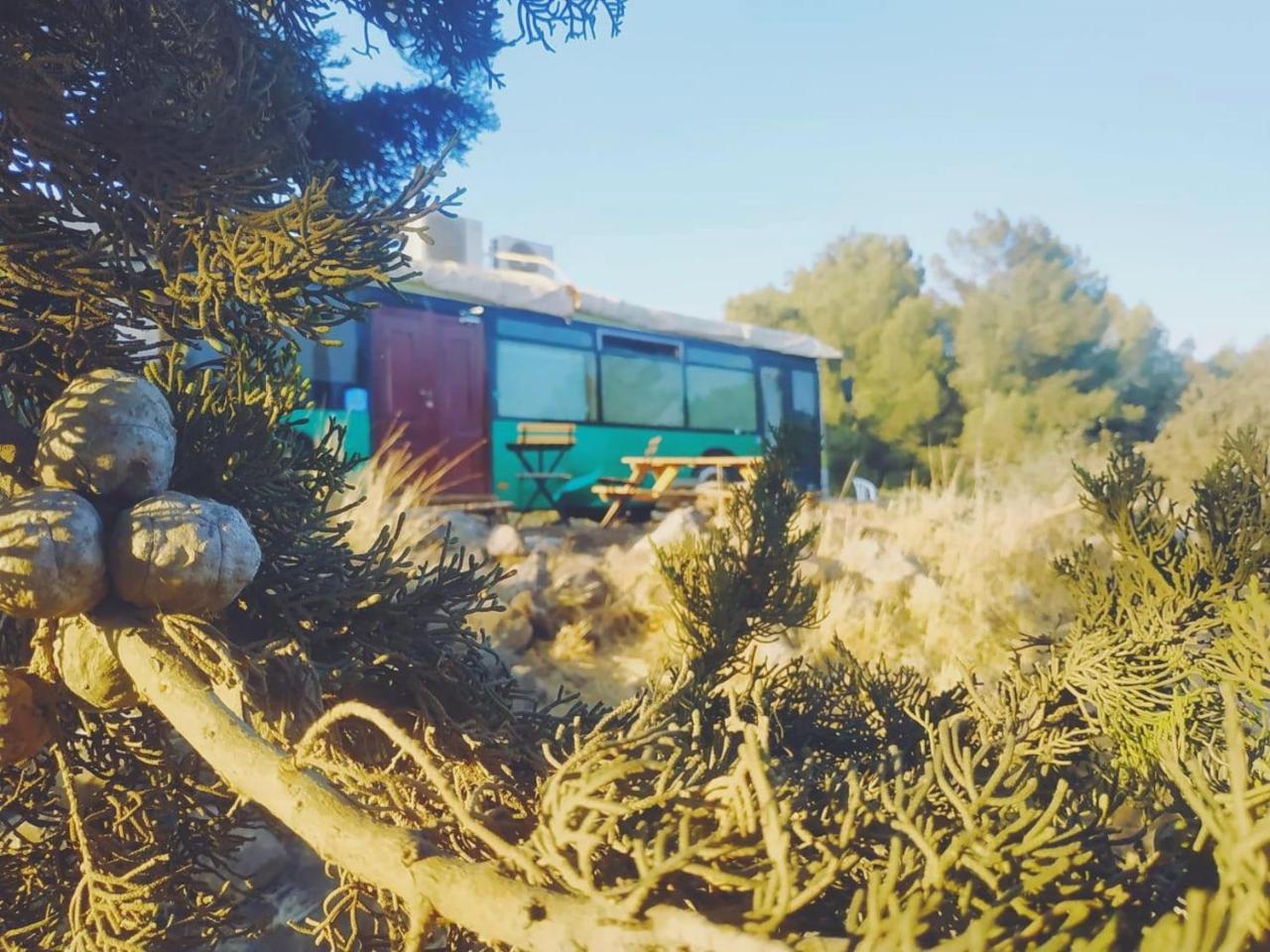 Eco Bus - last minute hotel in Unknown City