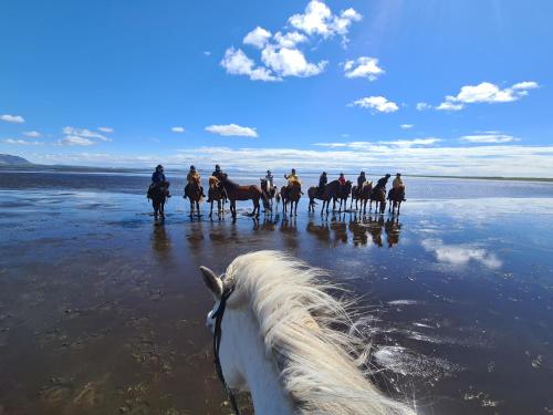 Cora s House & Horses