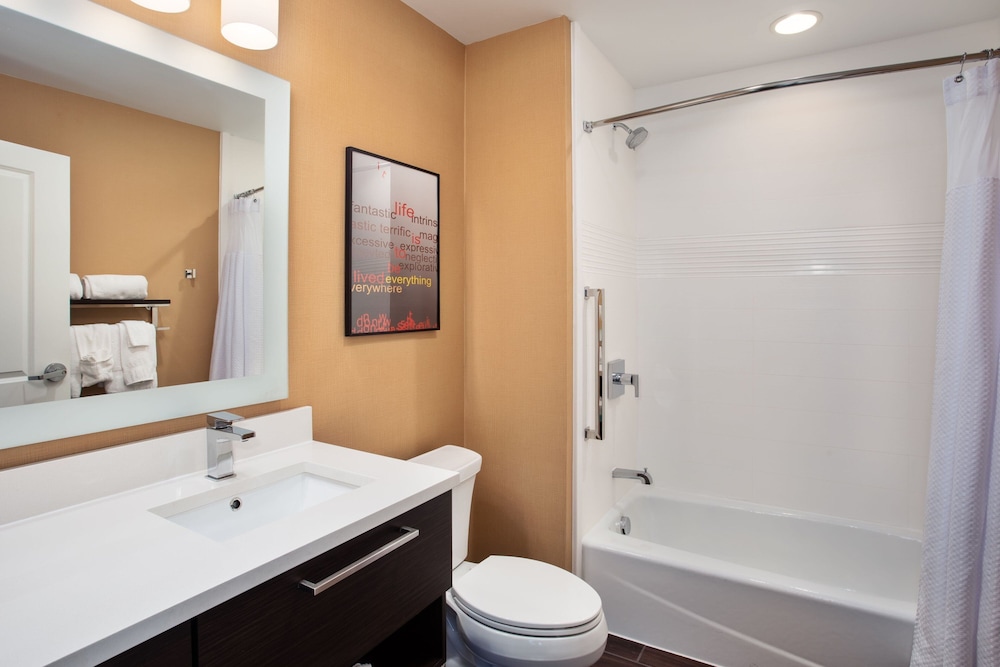 TownePlace Suites by Marriott Detroit Belleville - photo 33
