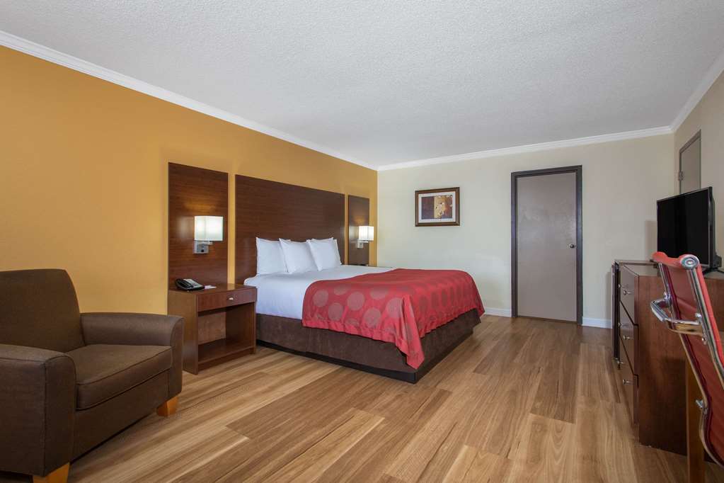 Ramada by Wyndham Tampa Westshore Airport South - photo 29