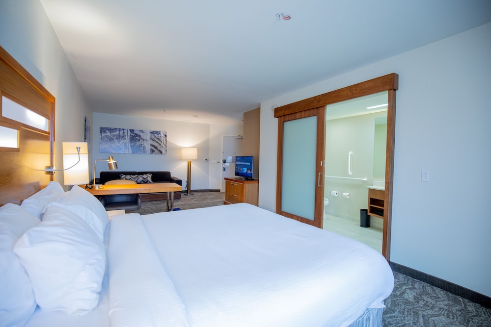 SpringHill Suites by Marriott Baton Rouge Gonzales - photo 9