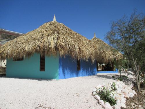 Don Genaro Apartments — 4-Star Luxury Hotel in Willemstad, CURAÇAO