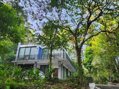 Eagle Nest in Unknown City, Sri Lanka