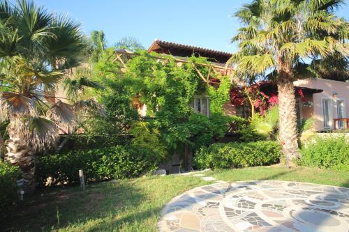 Villa Retreat Cyprus