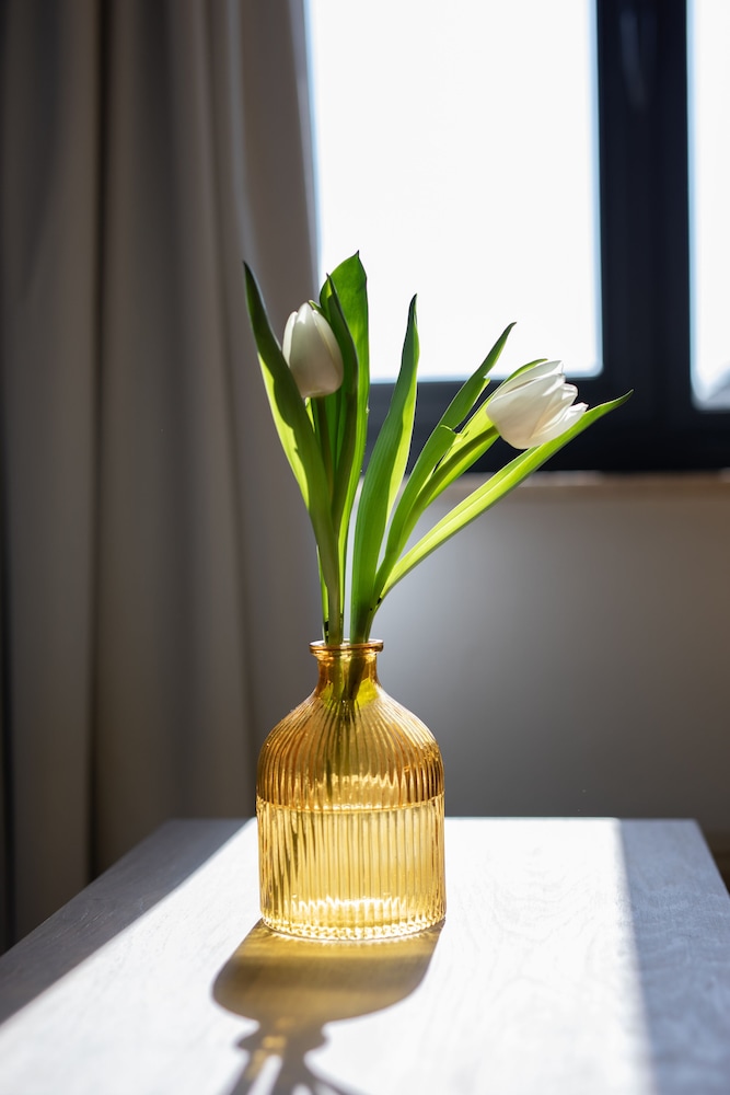 Grand Hotel Beatrix — Den Helder — photo 3