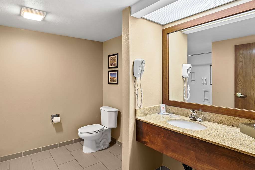 Comfort Inn Benson near Kartchner Caverns - photo 14