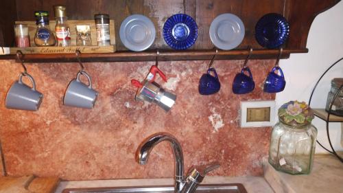 Agrumello Segret Garden in Pisa, Italy